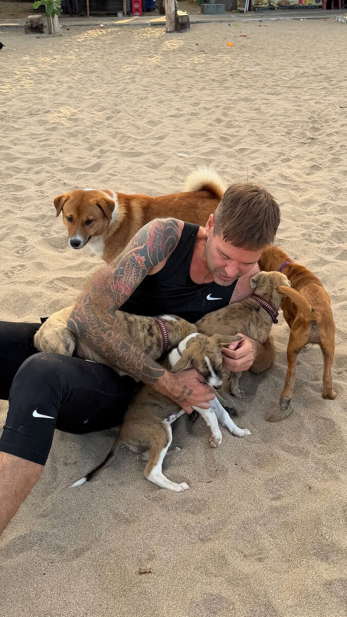 Stephan Mairesse surrounded by dogs on the sand