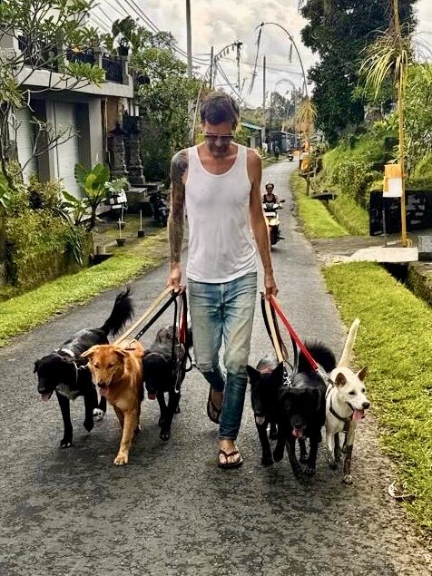Stephan Mairesse walking six dogs down a Bali street