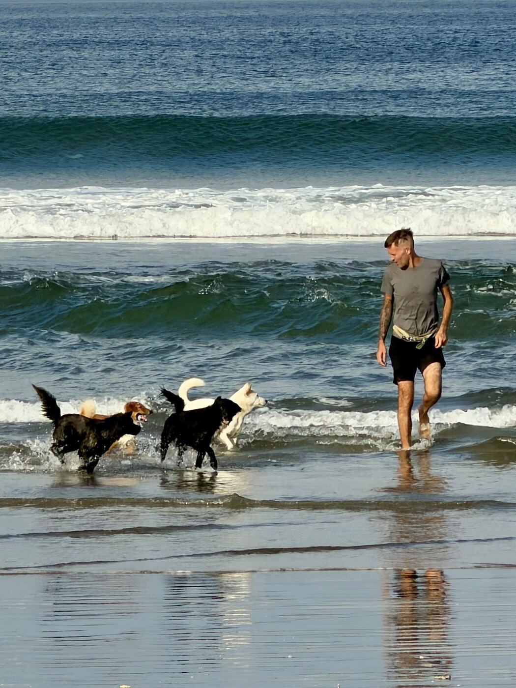 Stephan Mairesse walking with his dogs in the surf in Bali