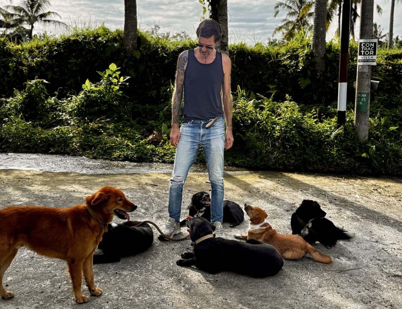 Stephan Mairesse standing among a group of lying dogs