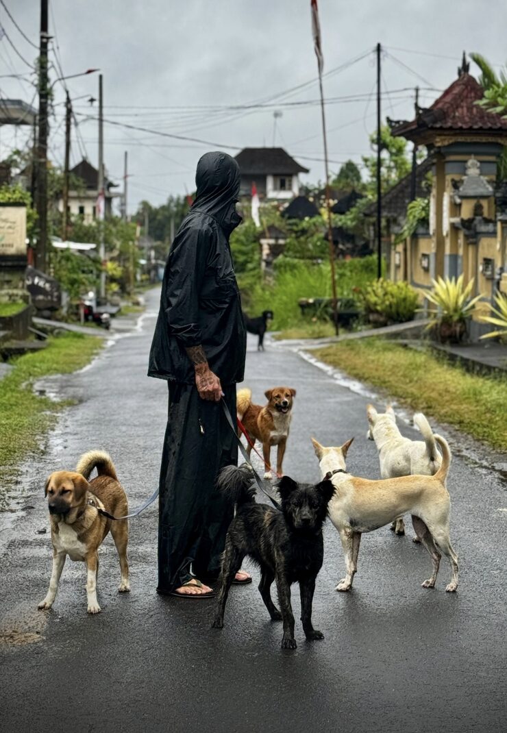 Stephan Mairesse in a rain poncho with dogs in the rain