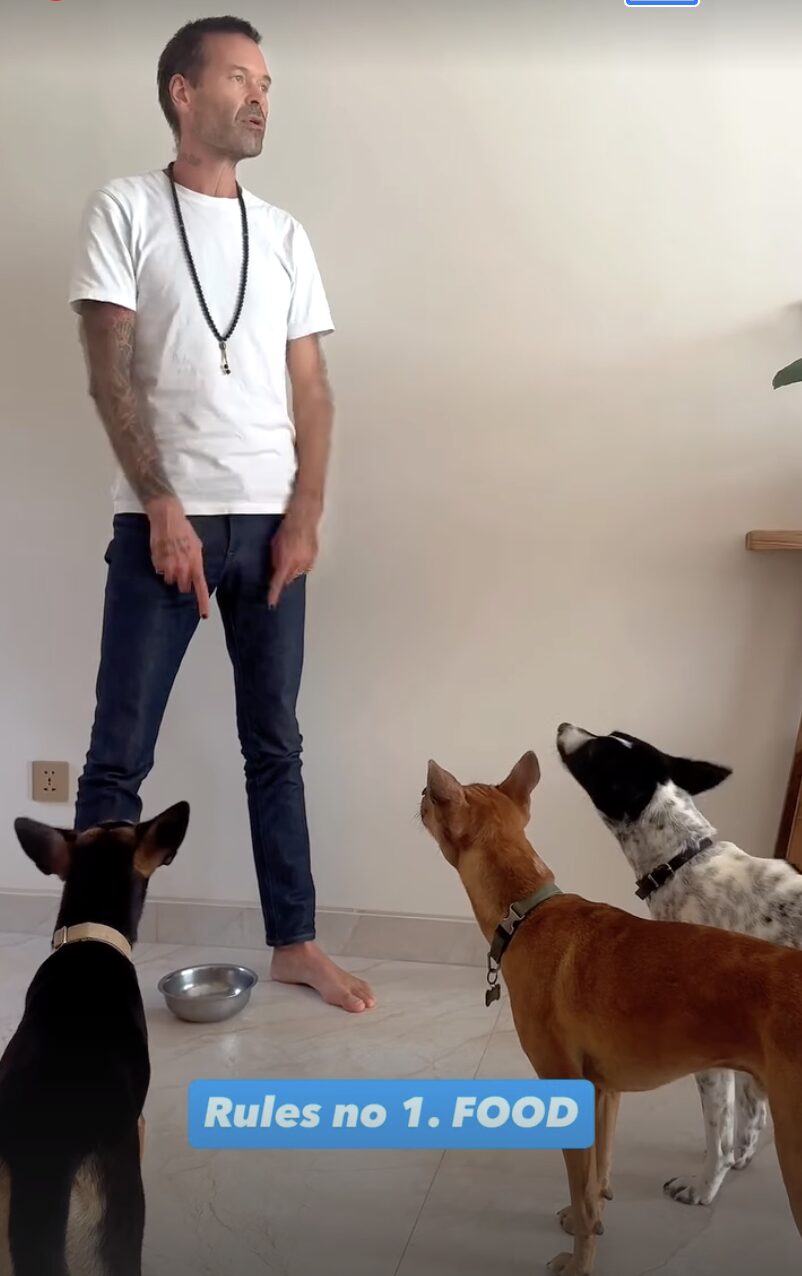 Stephan Mairesse teaching rule number one: food, to three dogs