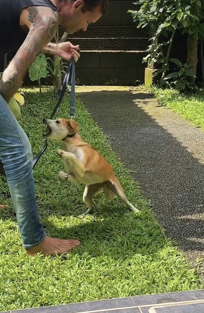 Stephan Mairesse working with a dog on leash training