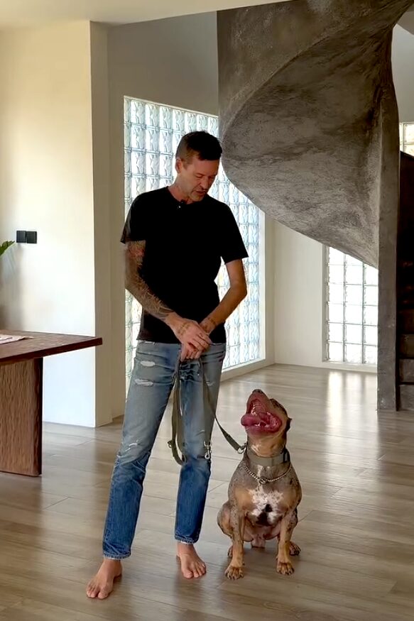 Stephan Mairesse training a large dog indoors